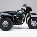 https://eshop-stickers.com/sites/default/files/imagecache/product_full/gallery_photos/1/kawasaki_klt185a_black.jpg